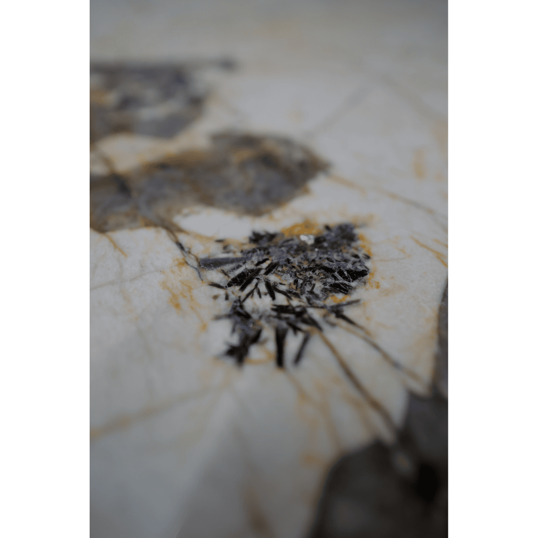 Kwartsiet Patagonia - Rond Tafelblad ø100cm